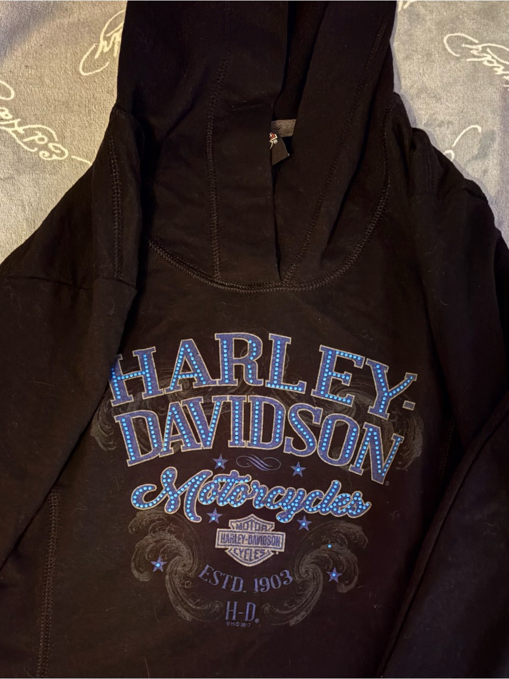 Harley-Davidson Black Hoodie with Blue Graphic Logo